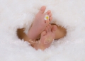 14 Babies 2011